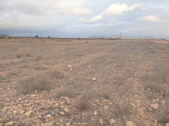 Land in Pinoso - Caza De Casa