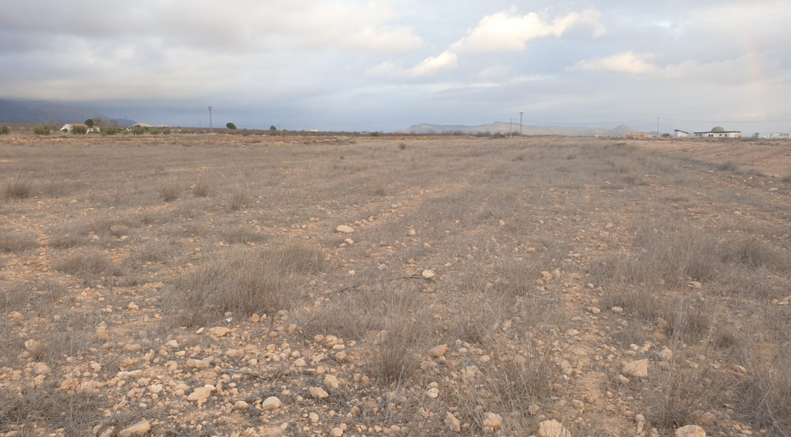 Land in Pinoso - Caza De Casa
