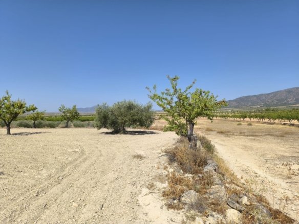 Land in Monóvar/Monóver - Caza De Casa