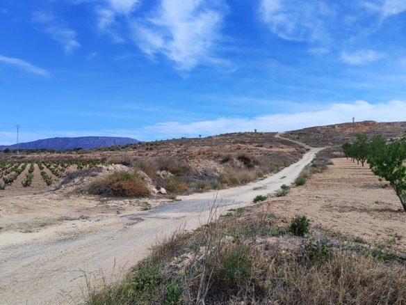 17,300 m² Land in Pinoso - Caza De Casa