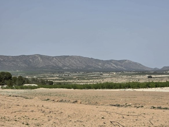 Land in Pinoso - Caza De Casa