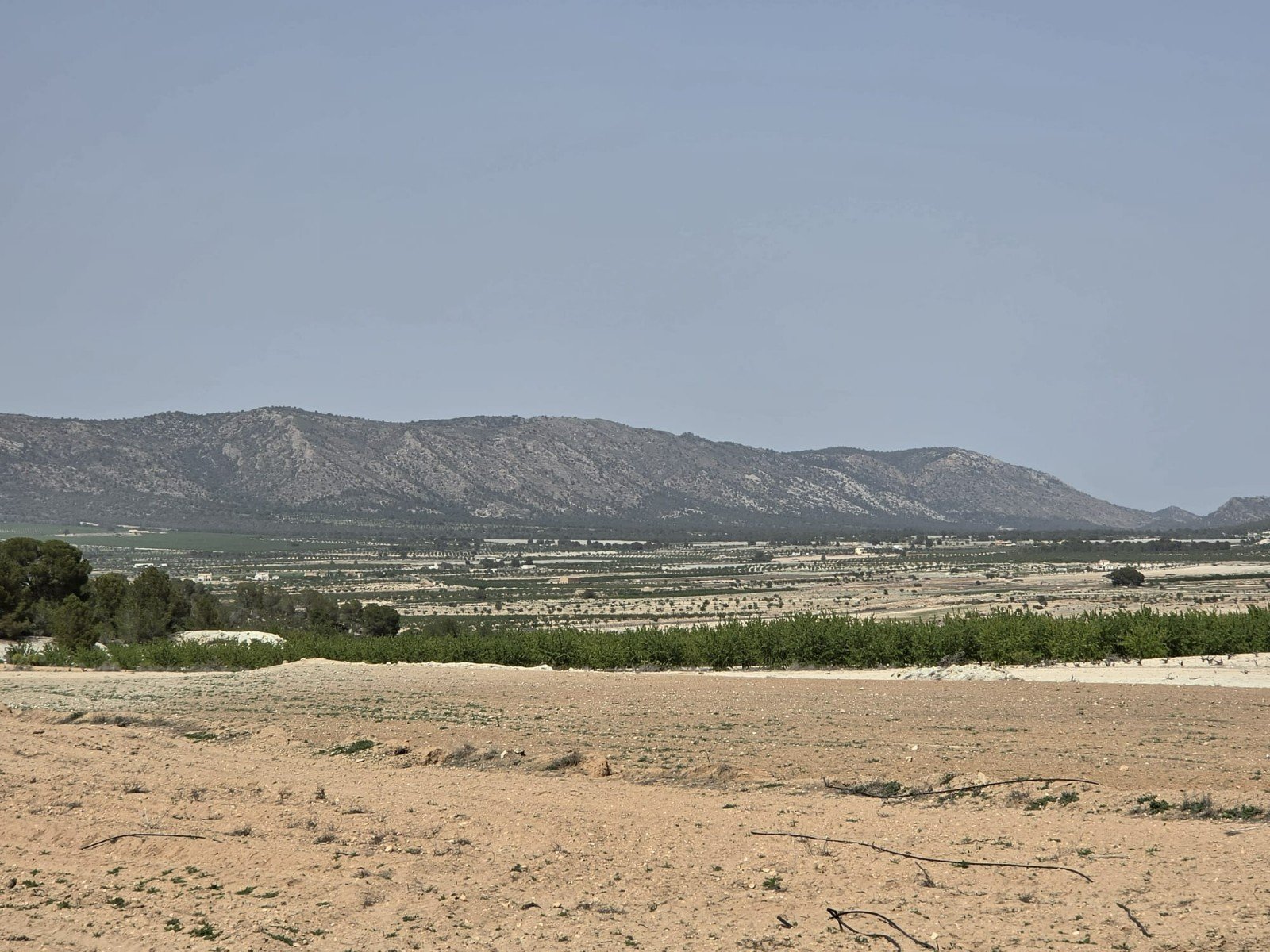 Land in Pinoso - Caza De Casa
