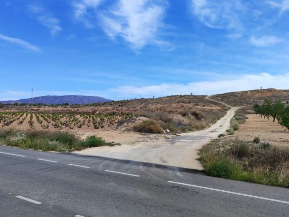 17,300 m² Land in Pinoso - Caza De Casa