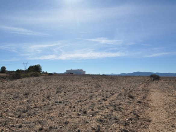 12,542 m² Land in Monóvar/Monóver - Caza De Casa