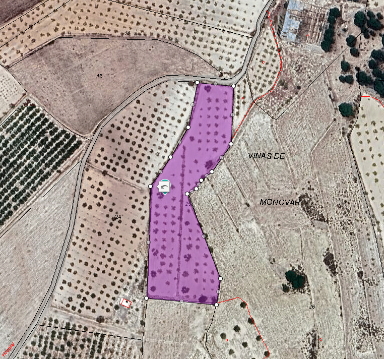 Land in Monóvar/Monóver - Caza De Casa
