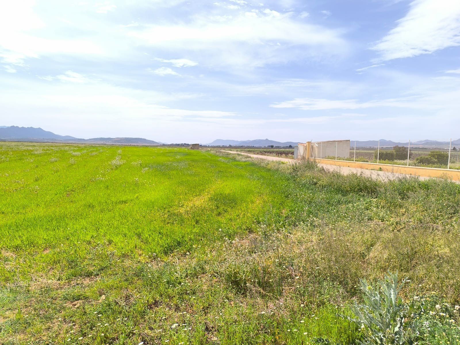 9ad892922e25d2aa 10 Bedroom 3 Bathroom Country House in Yecla - Caza De Casa
