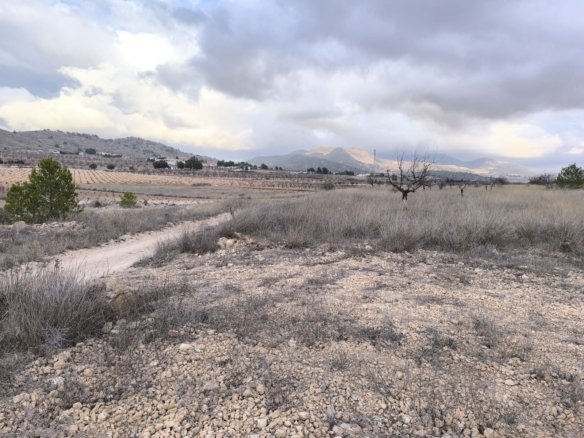 11,510 m² Land in La Solana - Caza De Casa