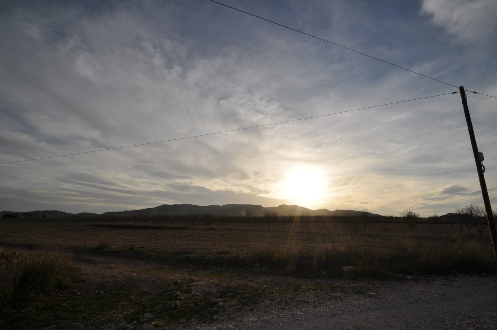 Land in Abanilla - Caza De Casa
