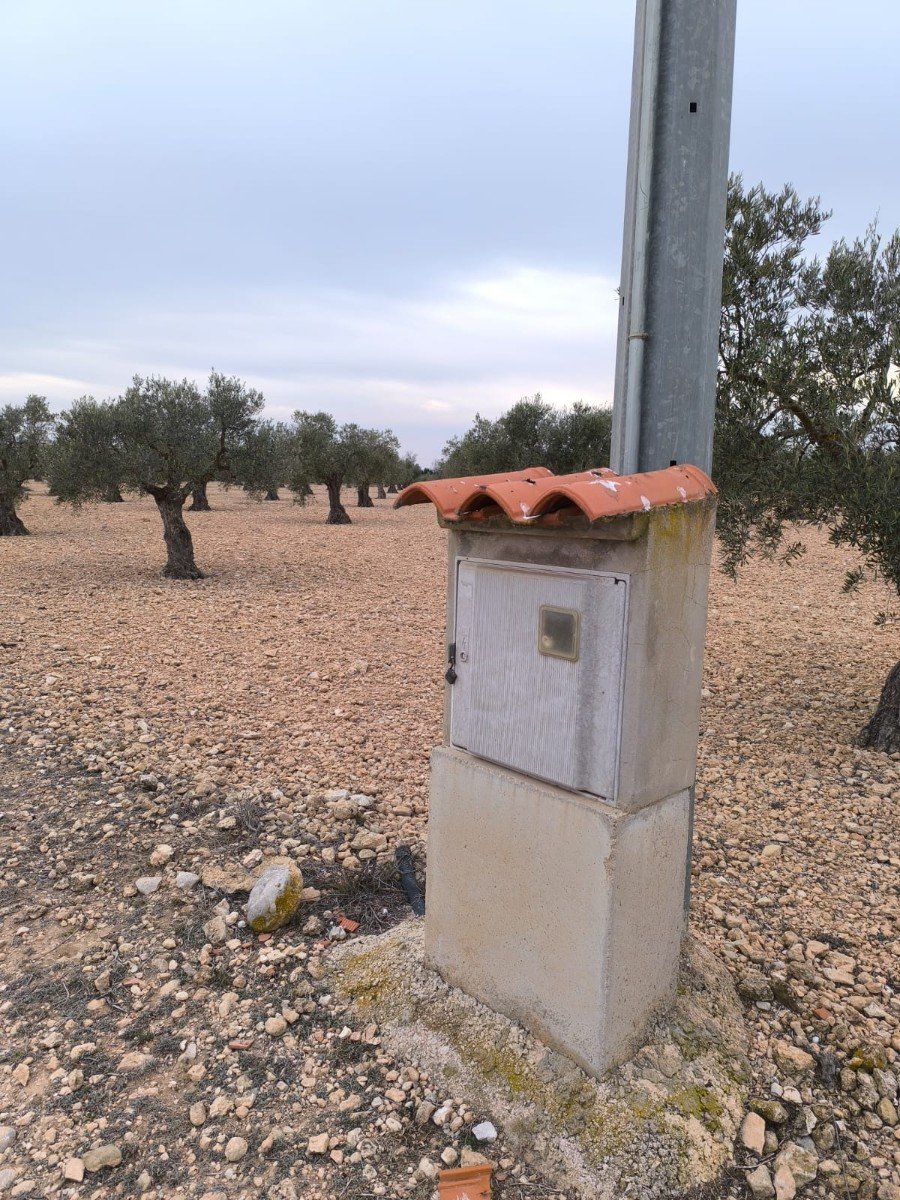 24,000 m² Land in Yecla - Caza De Casa