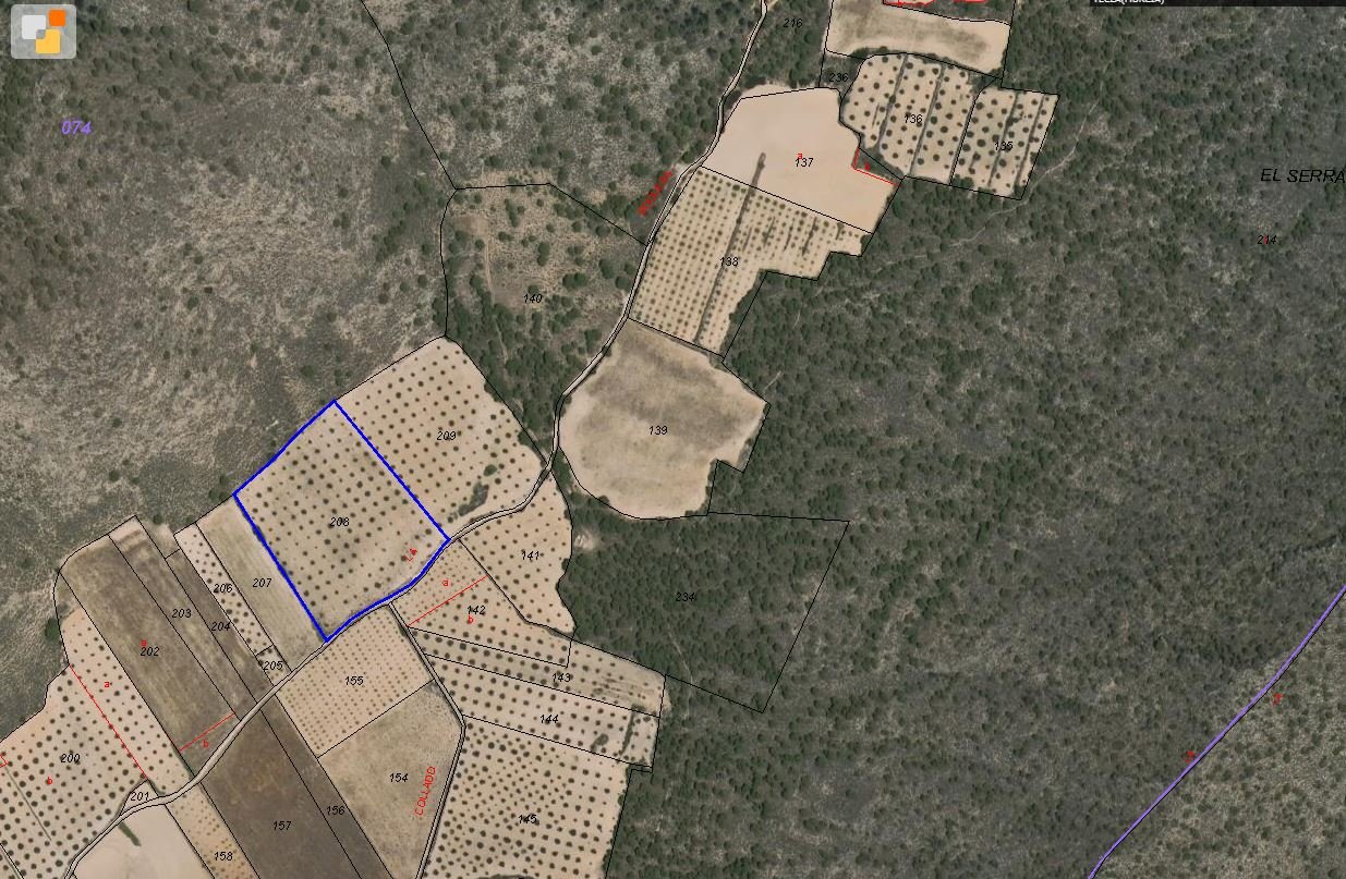 Land in Yecla - Caza De Casa
