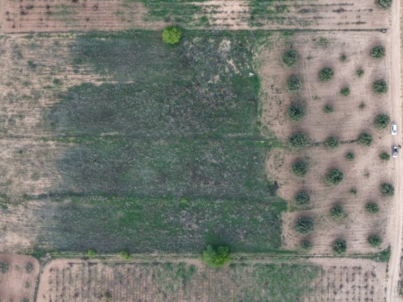 13,701 m² Land in Jumilla - Caza De Casa