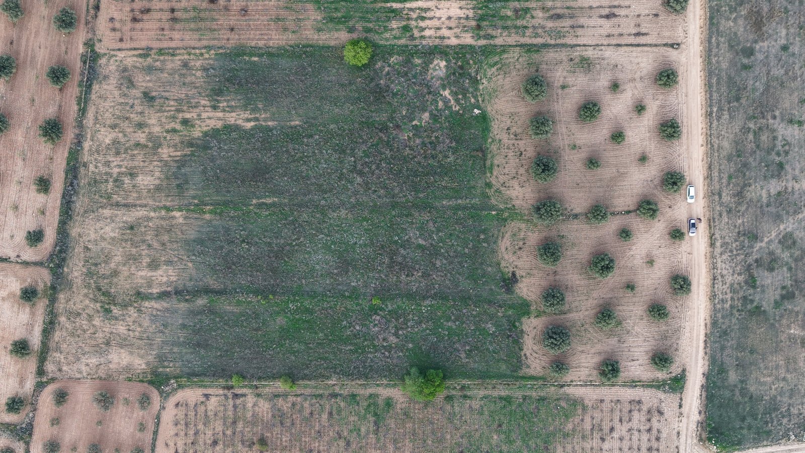 13,701 m² Land in Jumilla - Caza De Casa