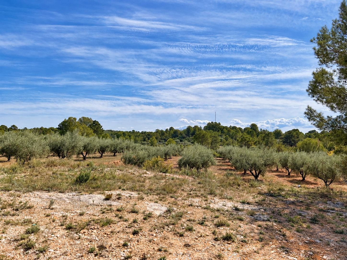 3 Bedroom 2 Bathroom villa in Cuatretonda - Caza De Casa