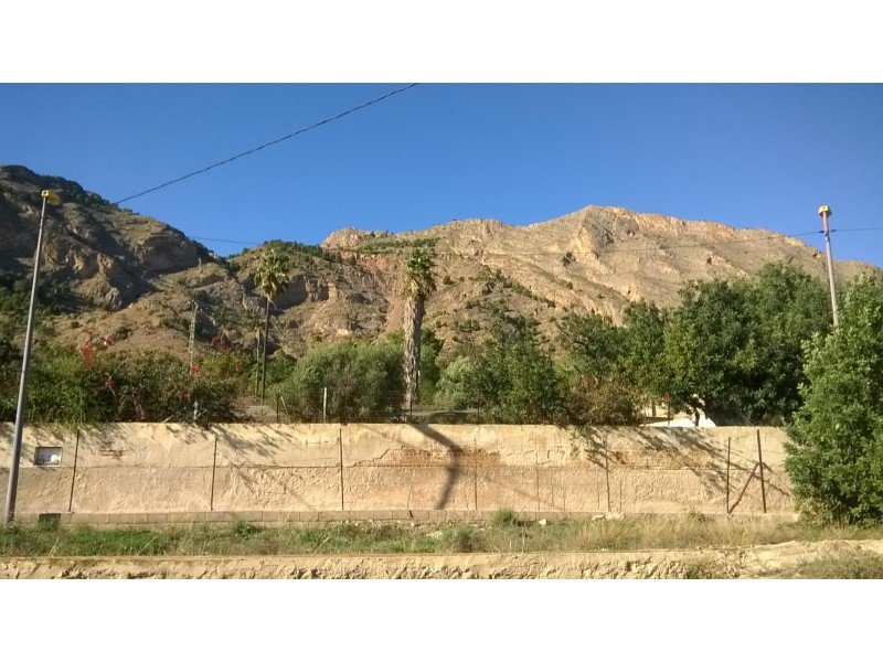 12,441 m² Land in Orihuela - Caza De Casa