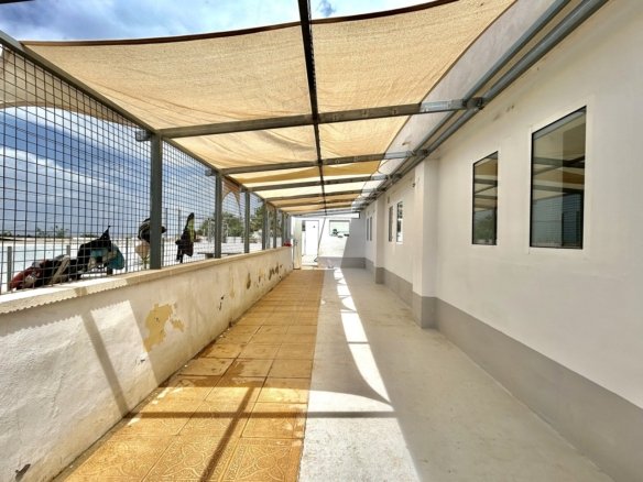 8 Bed 4 Bath Villa in Los Montesinos - Caza De Casa