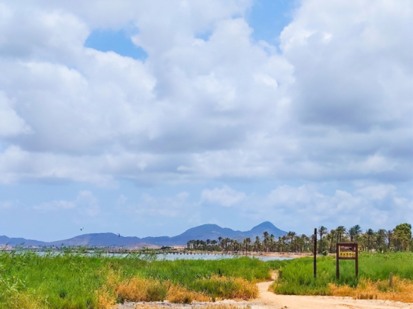 300 m² Land in Los Urrutias - Caza De Casa