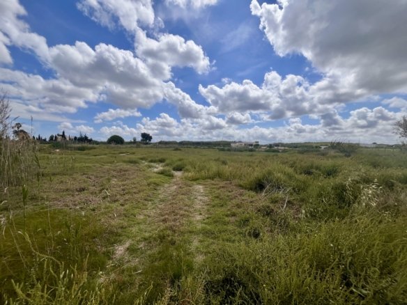 Land in Catral - Caza De Casa