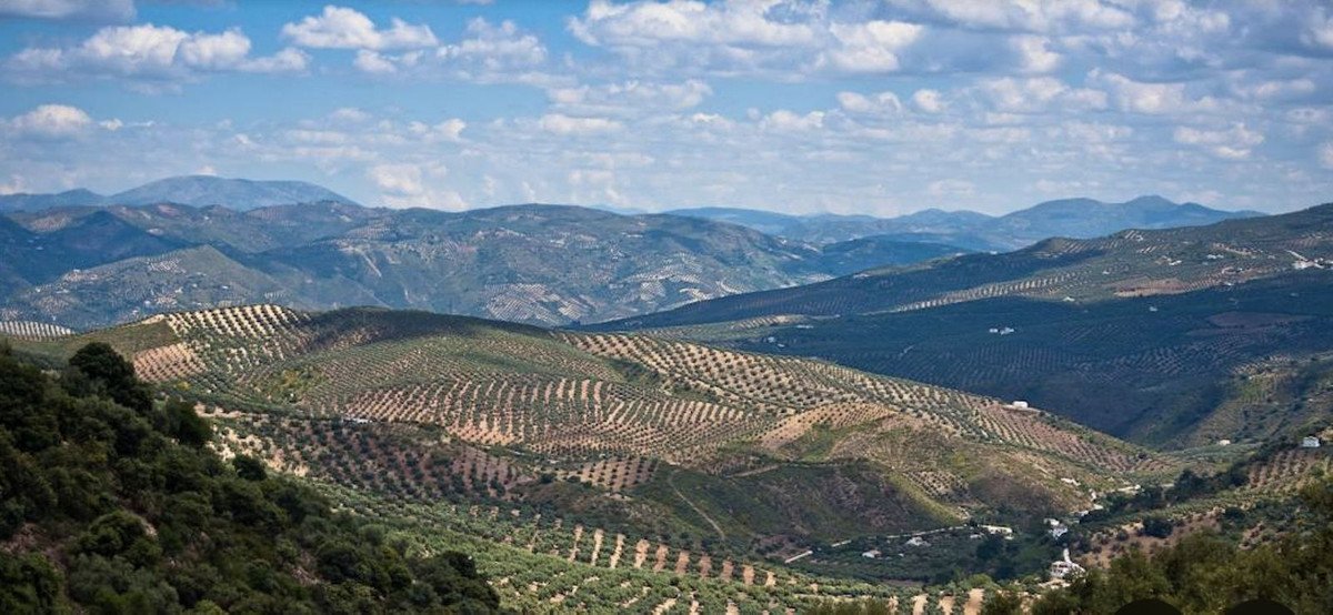 19,701 m² Land in Antequera - Caza De Casa