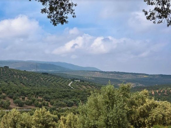 19,701 m² Land in Antequera - Caza De Casa