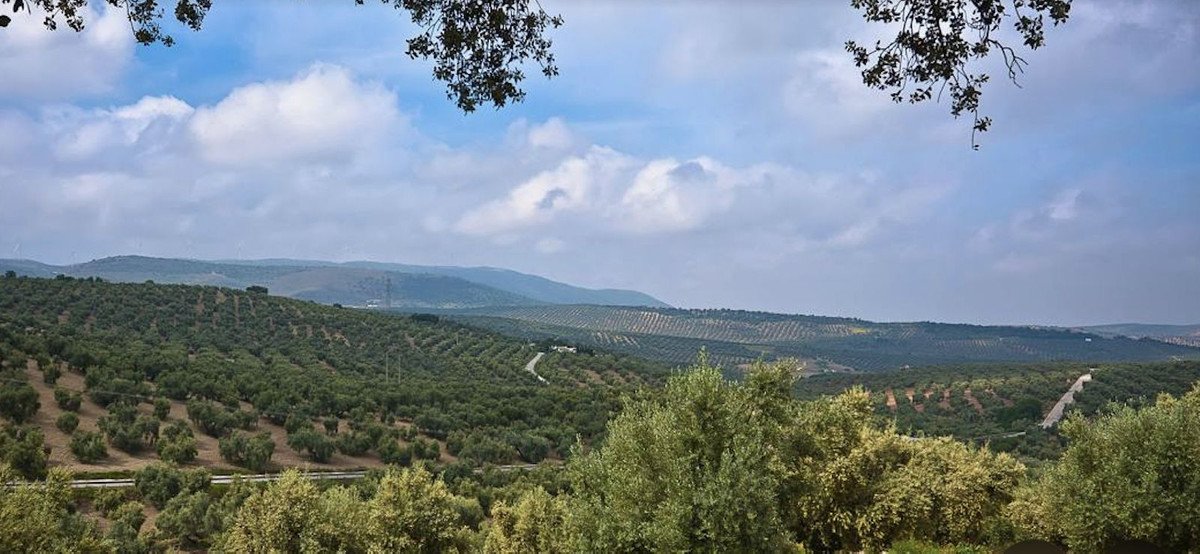 19,701 m² Land in Antequera - Caza De Casa