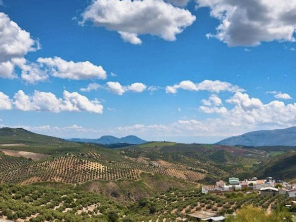 19,701 m² Land in Antequera - Caza De Casa
