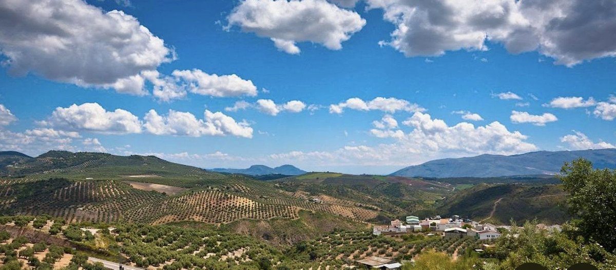 19,701 m² Land in Antequera - Caza De Casa