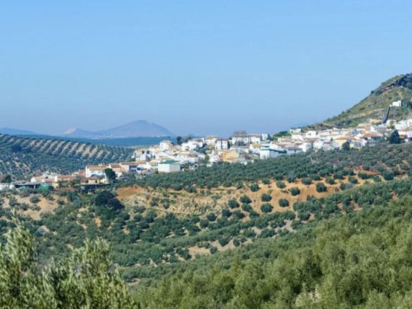 19,701 m² Land in Antequera - Caza De Casa
