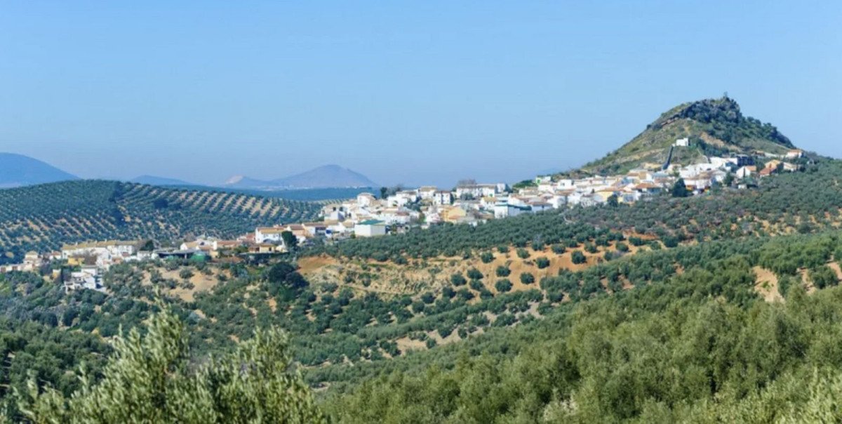19,701 m² Land in Antequera - Caza De Casa
