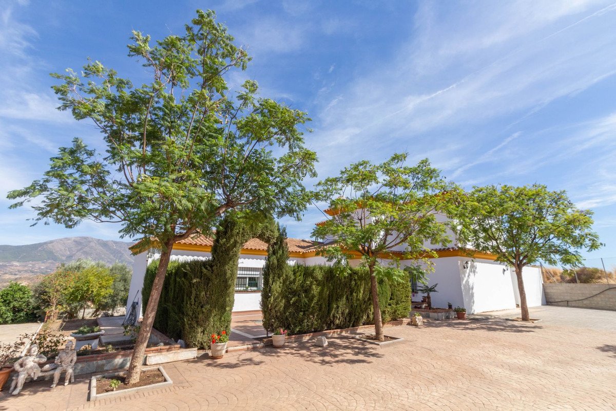 4 Bed 2 Bath Finca in Entrerrios - Caza De Casa