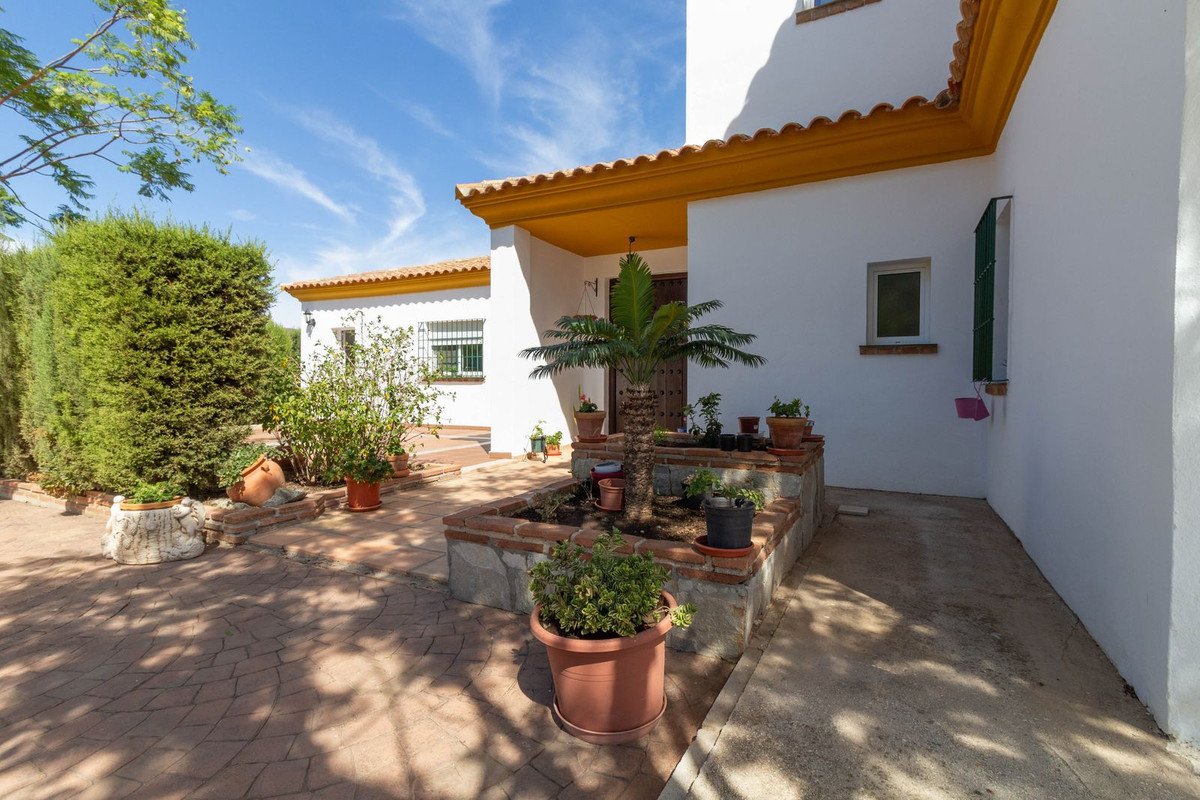 4 Bed 2 Bath Finca in Entrerrios - Caza De Casa