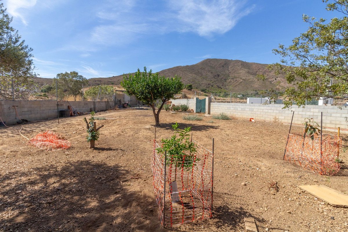 4 Bed 2 Bath Finca in Entrerrios - Caza De Casa