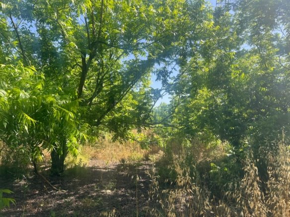 Land in Alhaurin el Grande - Caza De Casa