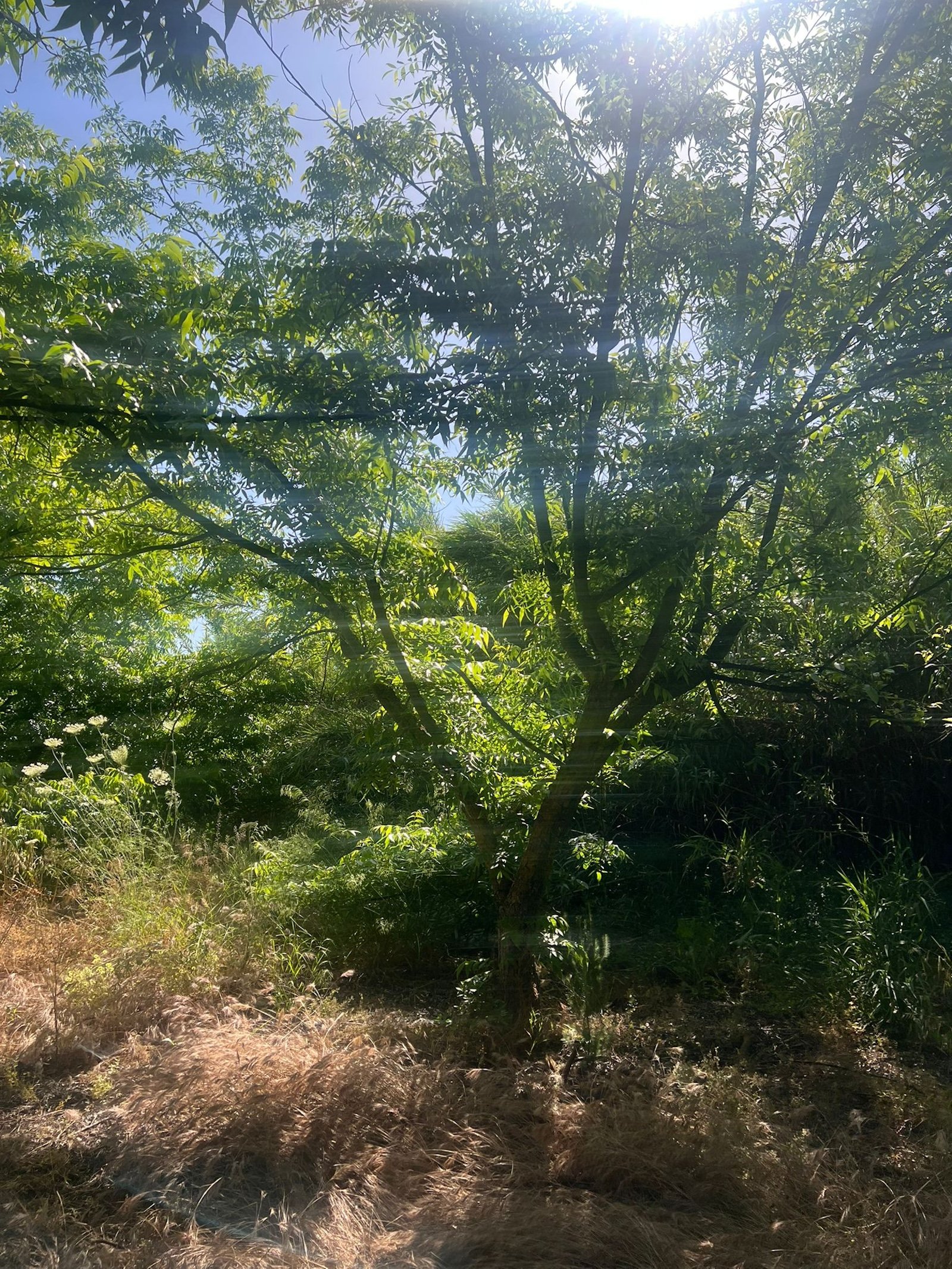 Land in Alhaurin el Grande - Caza De Casa