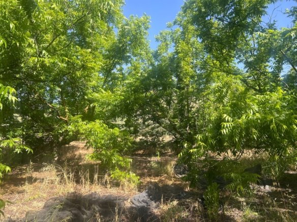 Land in Alhaurin el Grande - Caza De Casa