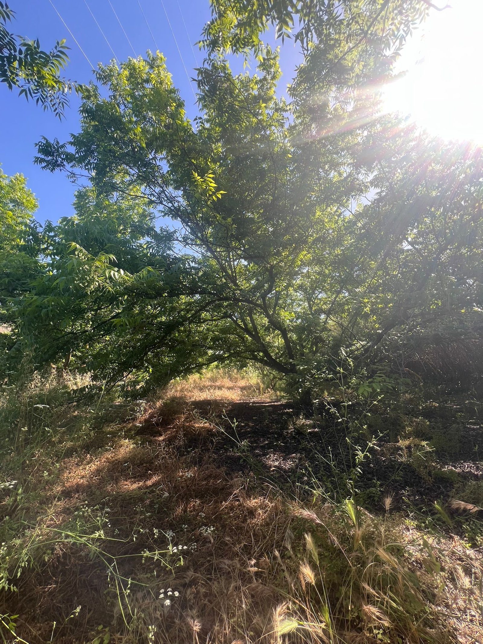 Land in Alhaurin el Grande - Caza De Casa