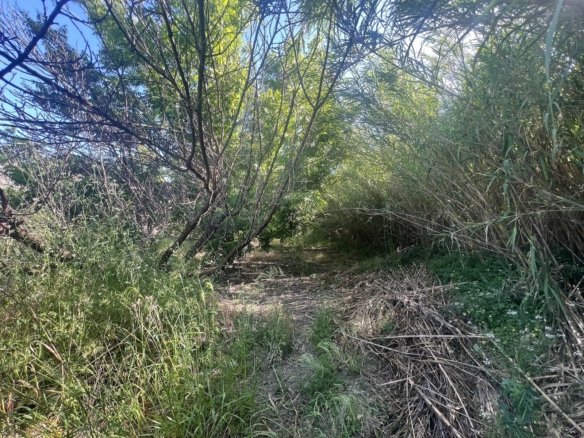 Land in Alhaurin el Grande - Caza De Casa