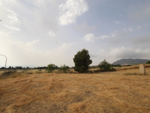 Land in Caudete - Caza De Casa