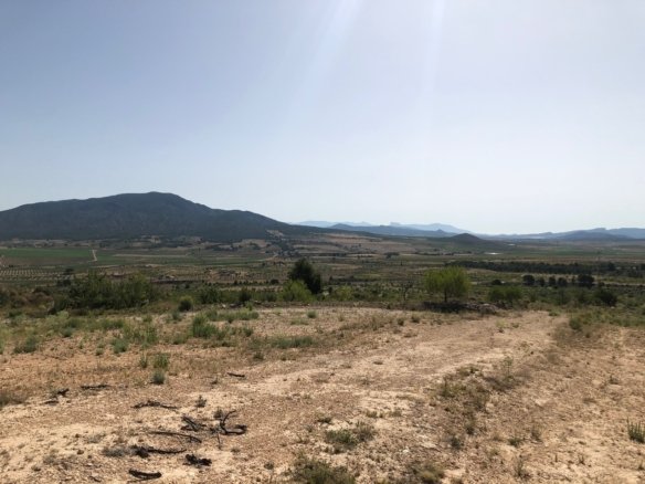 31,486 m² Land in Yecla - Caza De Casa