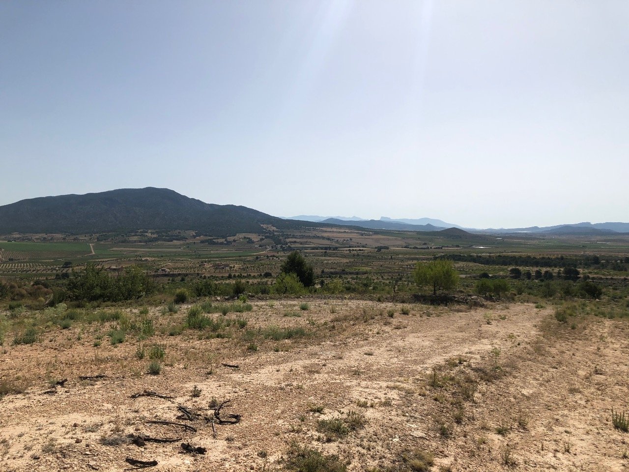 31,486 m² Land in Yecla - Caza De Casa
