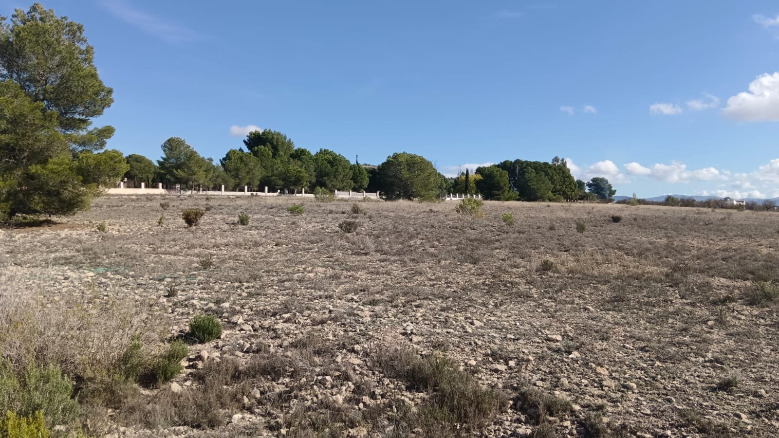 Land in Salinas - Caza De Casa