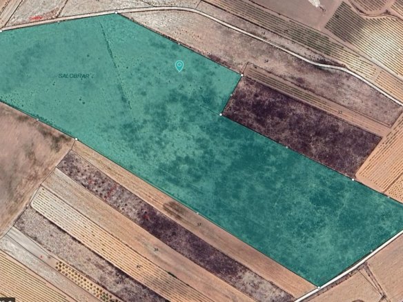 Land in Pinoso - Caza De Casa