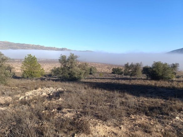 9,197 m² Land in Yecla - Caza De Casa