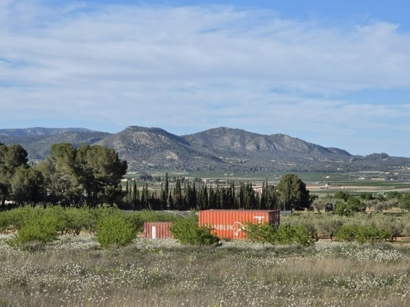 Land in Monóvar/Monóver - Caza De Casa