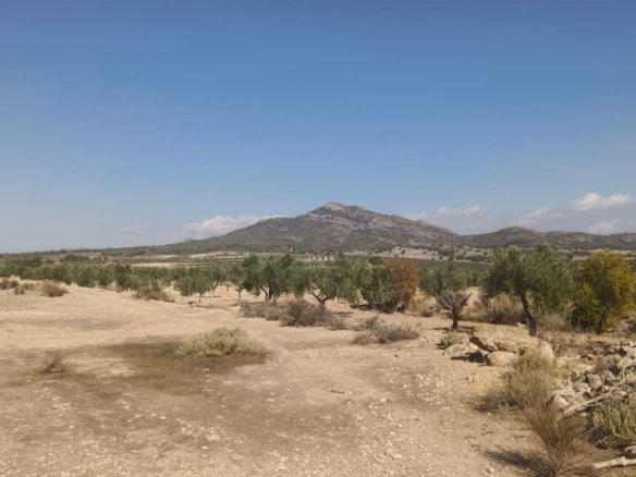 24,596 m² Land in Salinas - Caza De Casa