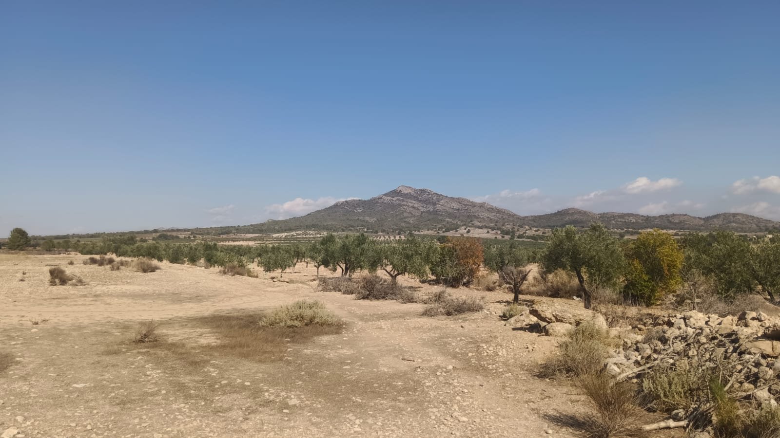 24,596 m² Land in Salinas - Caza De Casa