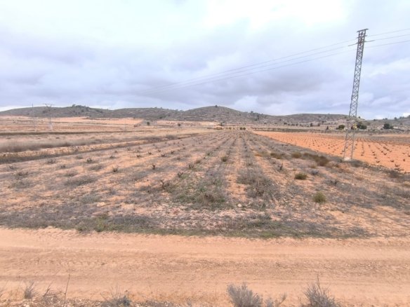 10,091 m² Land in La Solana - Caza De Casa