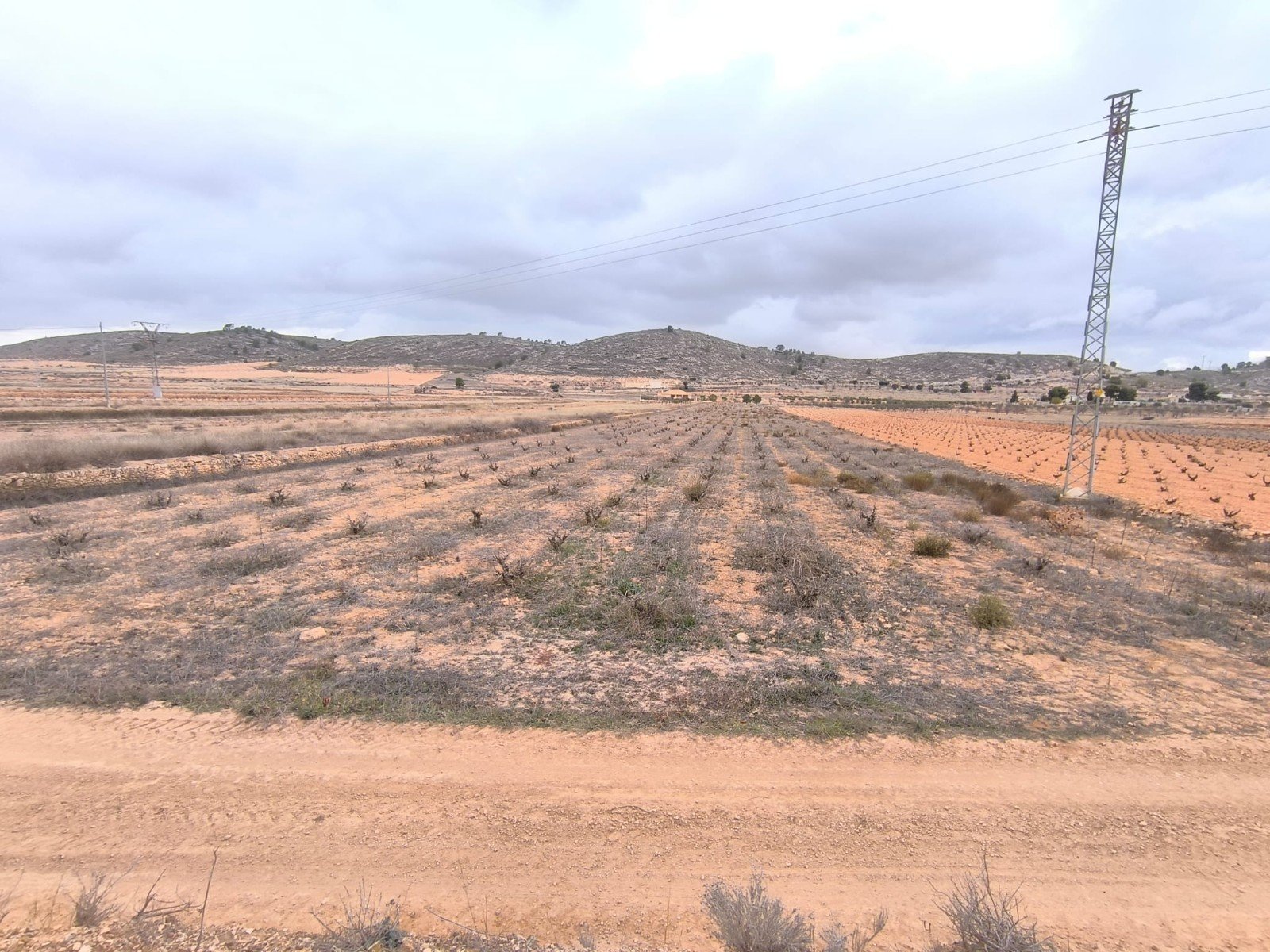10,091 m² Land in La Solana - Caza De Casa