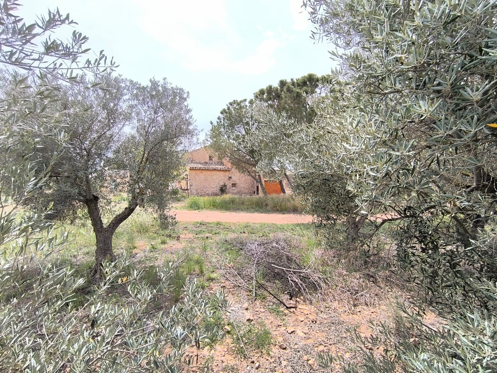 3 Bedroom 1 Bathroom Country House in Yecla - Caza De Casa