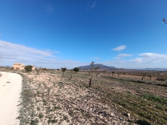 2 Bedroom Other in Yecla - Caza De Casa