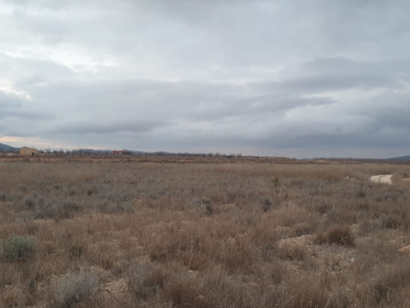 9,908 m² Land in Pinoso - Caza De Casa